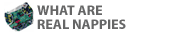 WHAT real nappies are